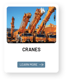 Cranes Card